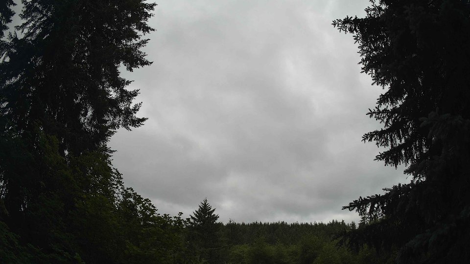 Pacific Northwest skyline timelapse frame from Jun 20th, 2026 at 9:00 AM