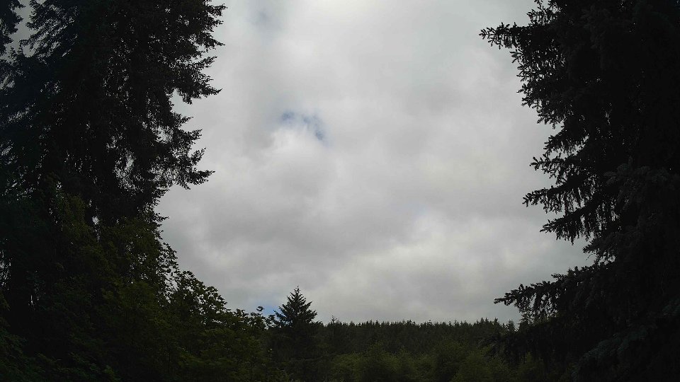 Pacific Northwest skyline timelapse frame from Jun 20th, 2026 at 9:15 AM