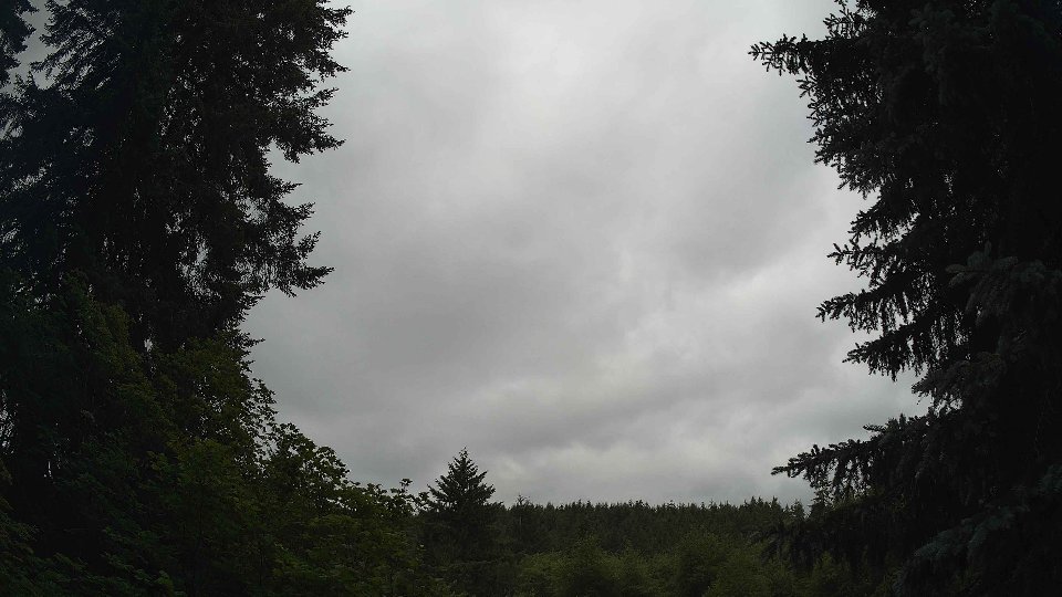 Pacific Northwest skyline timelapse frame from Jun 20th, 2026 at 9:45 AM