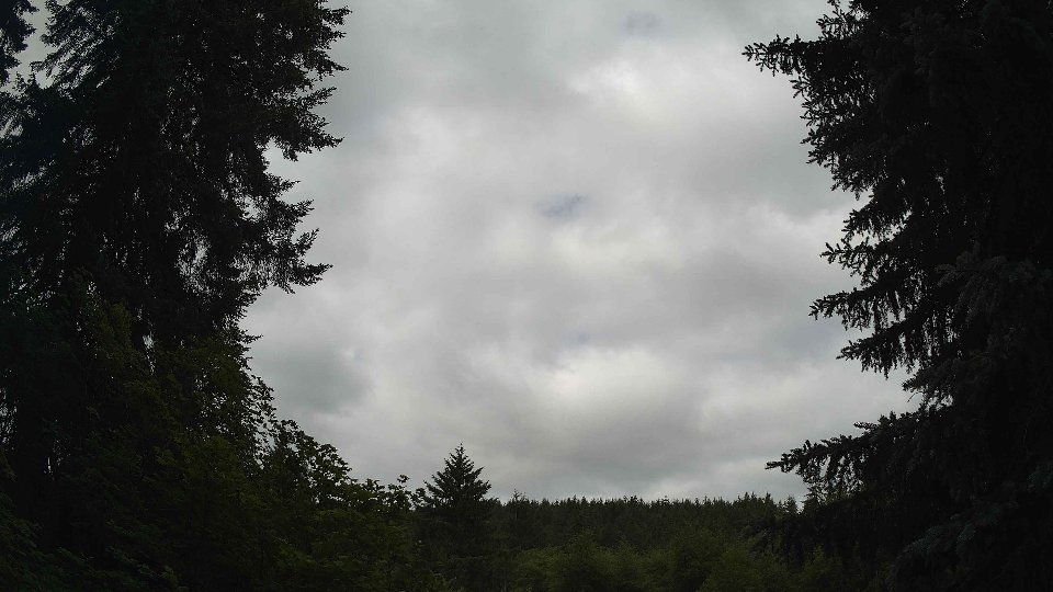Pacific Northwest skyline timelapse frame from Jun 20th, 2026 at 10:00 AM