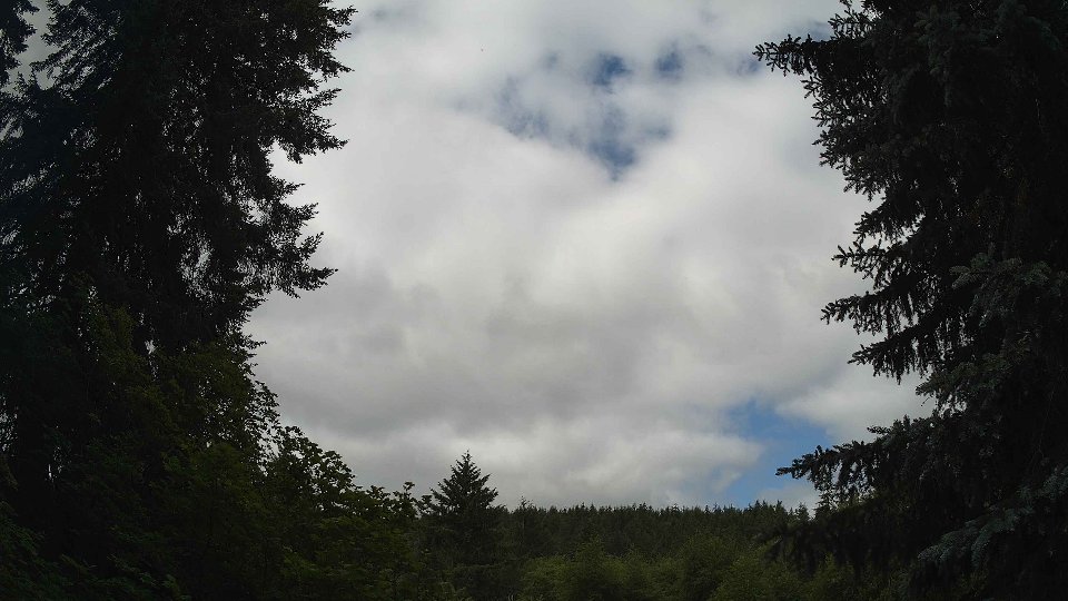 Pacific Northwest skyline timelapse frame from Jun 20th, 2026 at 10:15 AM