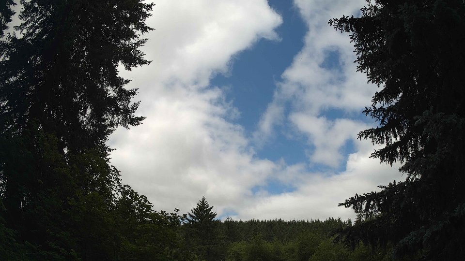 Pacific Northwest skyline timelapse frame from Jun 20th, 2026 at 10:30 AM
