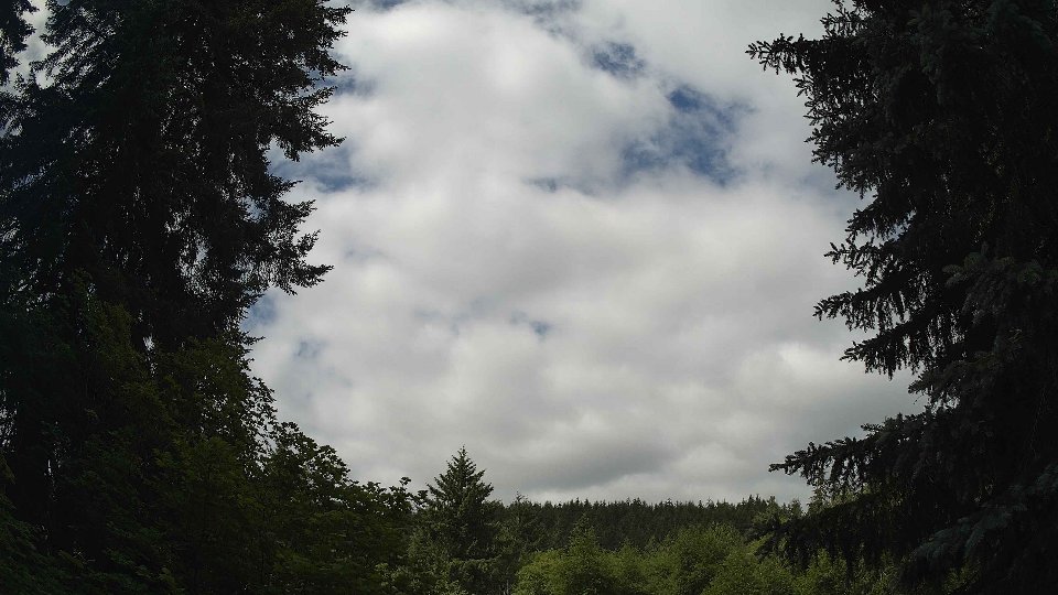 Pacific Northwest skyline timelapse frame from Jun 20th, 2026 at 10:45 AM