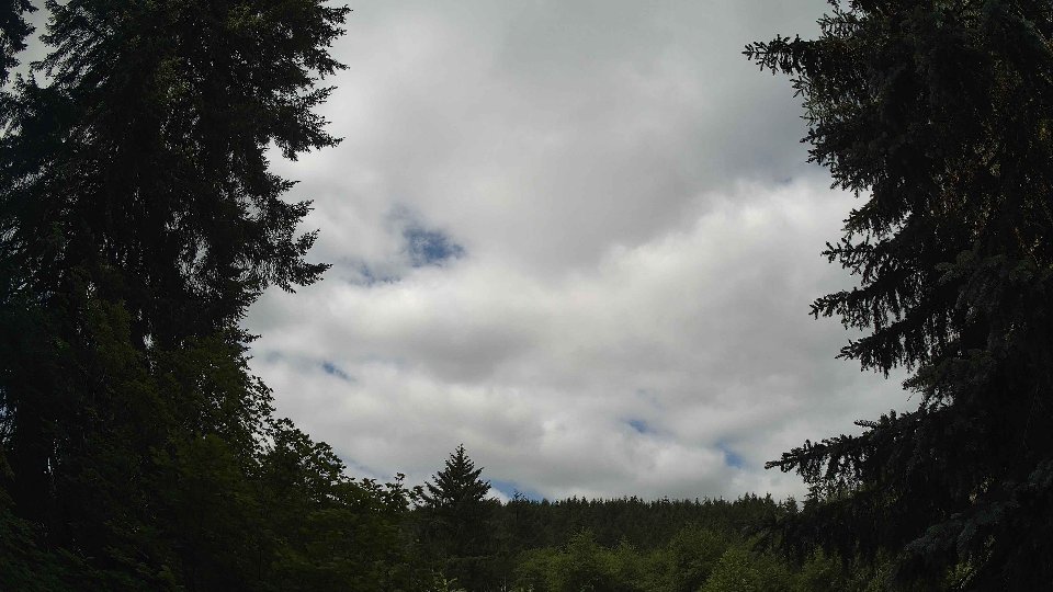 Pacific Northwest skyline timelapse frame from Jun 20th, 2026 at 11:00 AM