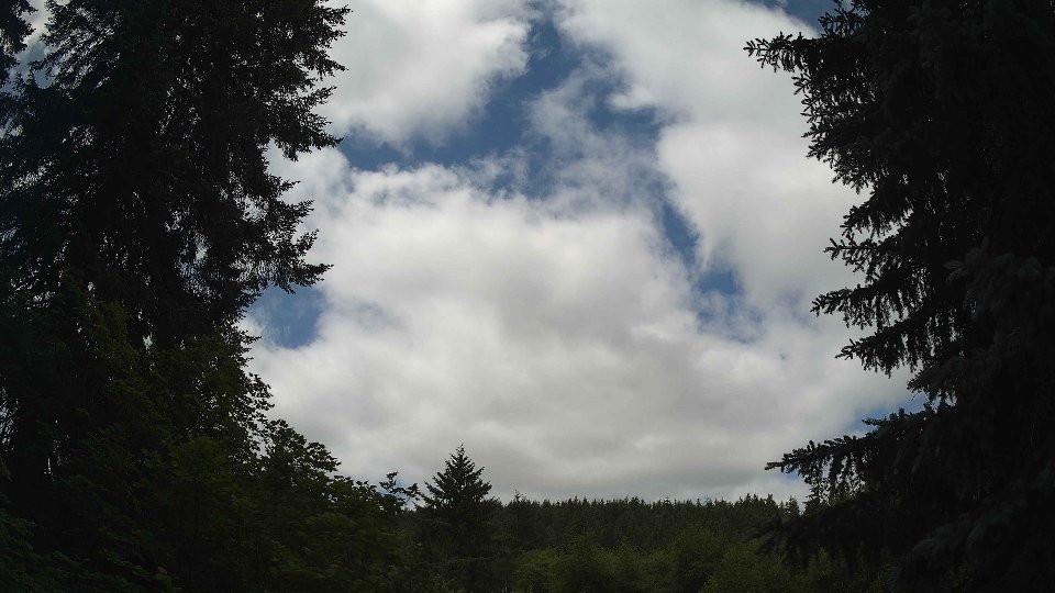 Pacific Northwest skyline timelapse frame from Jun 20th, 2026 at 11:15 AM