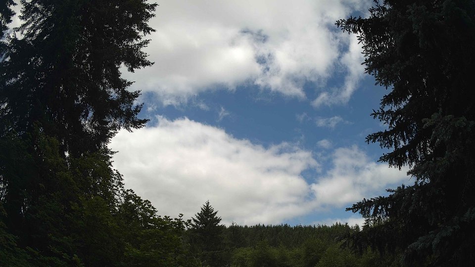 Pacific Northwest skyline timelapse frame from Jun 20th, 2026 at 11:30 AM