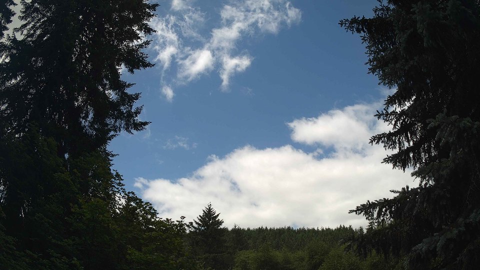 Pacific Northwest skyline timelapse frame from Jun 20th, 2026 at 11:45 AM