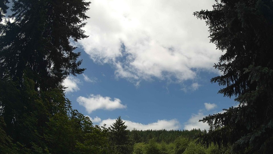 Pacific Northwest skyline timelapse frame from Jun 20th, 2026 at 12:00 PM