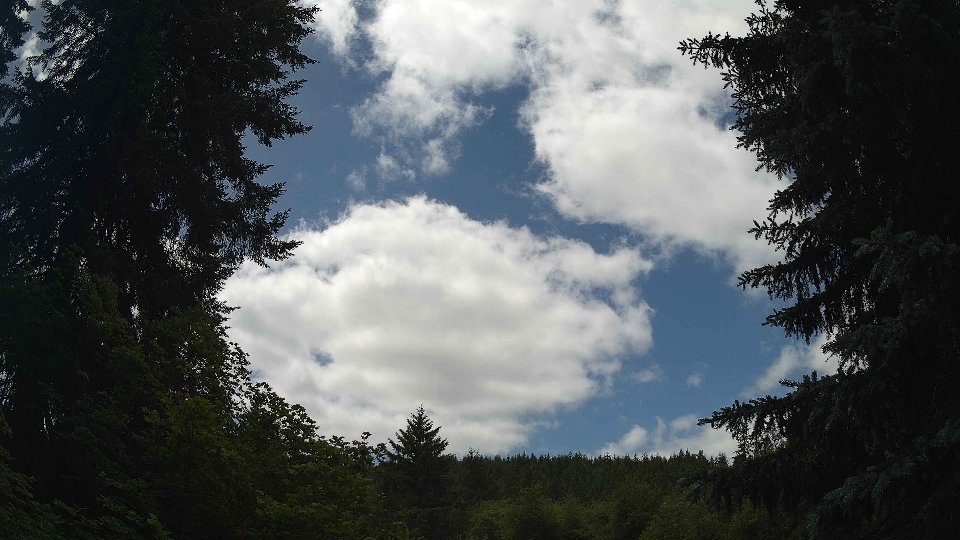 Pacific Northwest skyline timelapse frame from Jun 20th, 2026 at 12:30 PM
