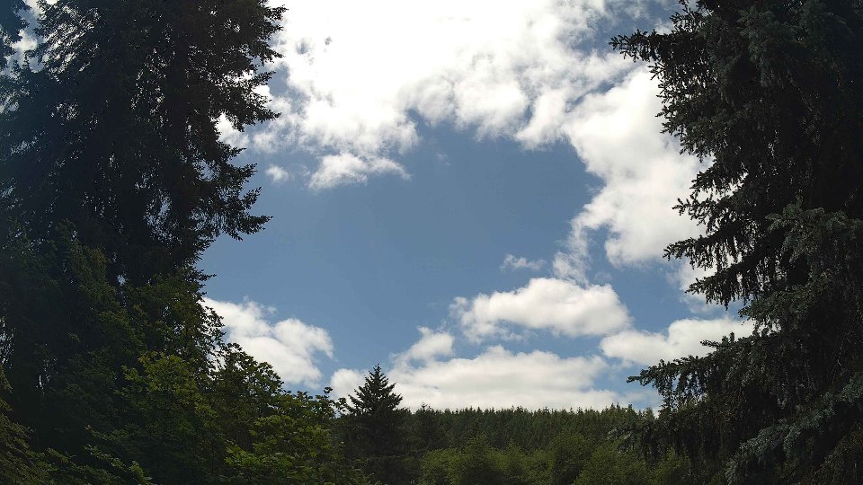 Pacific Northwest skyline timelapse frame from Jun 20th, 2026 at 12:45 PM