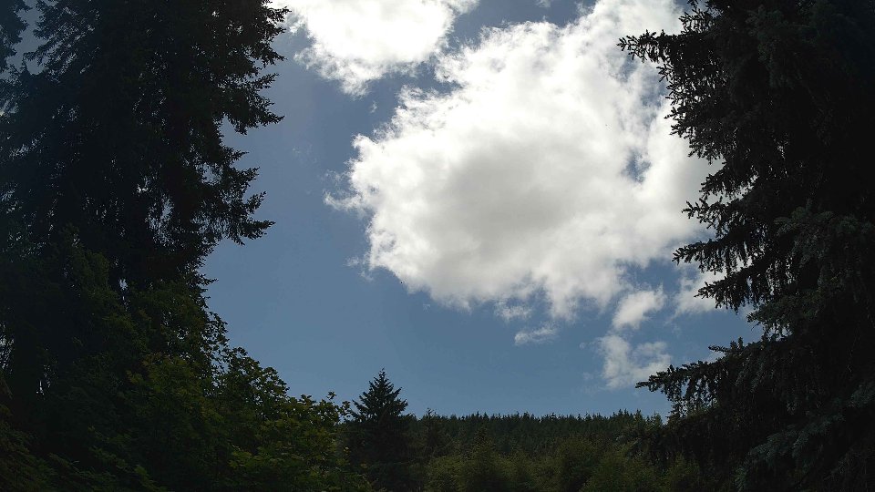 Pacific Northwest skyline timelapse frame from Jun 20th, 2026 at 1:30 PM