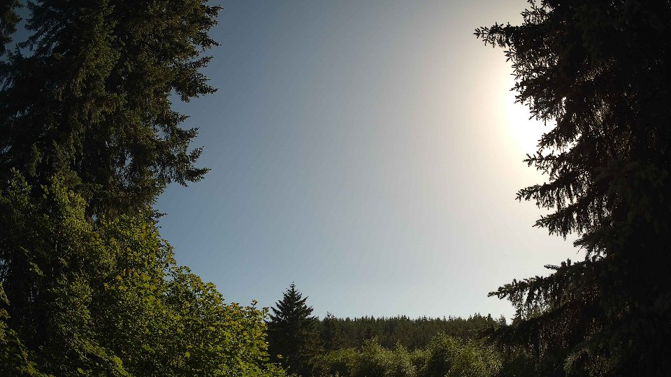 Pacific Northwest skyline timelapse frame from Jun 20th, 2026 at 5:15 PM