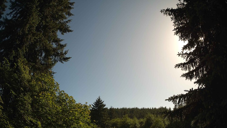 Pacific Northwest skyline timelapse frame from Jun 20th, 2026 at 5:30 PM