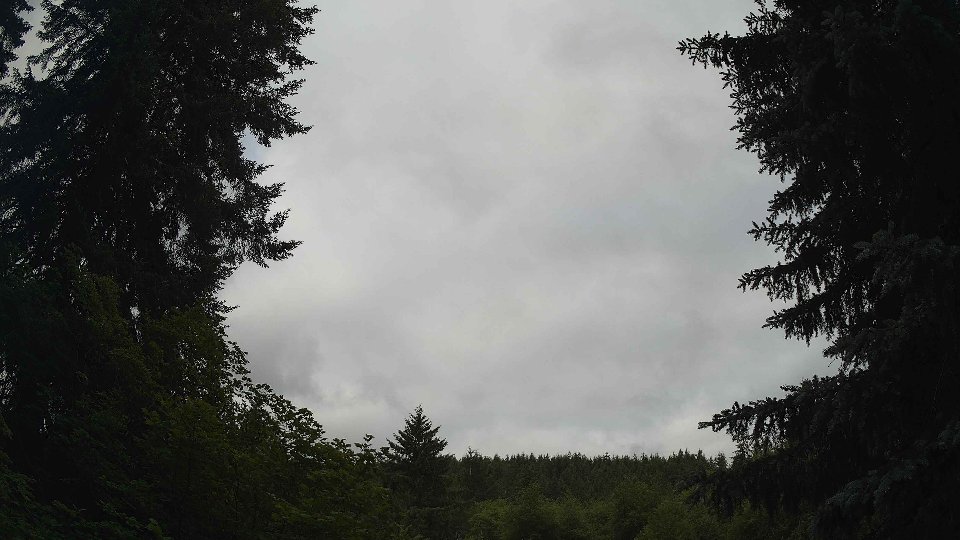Pacific Northwest skyline timelapse frame from Jun 21st, 2026 at 8:00 AM