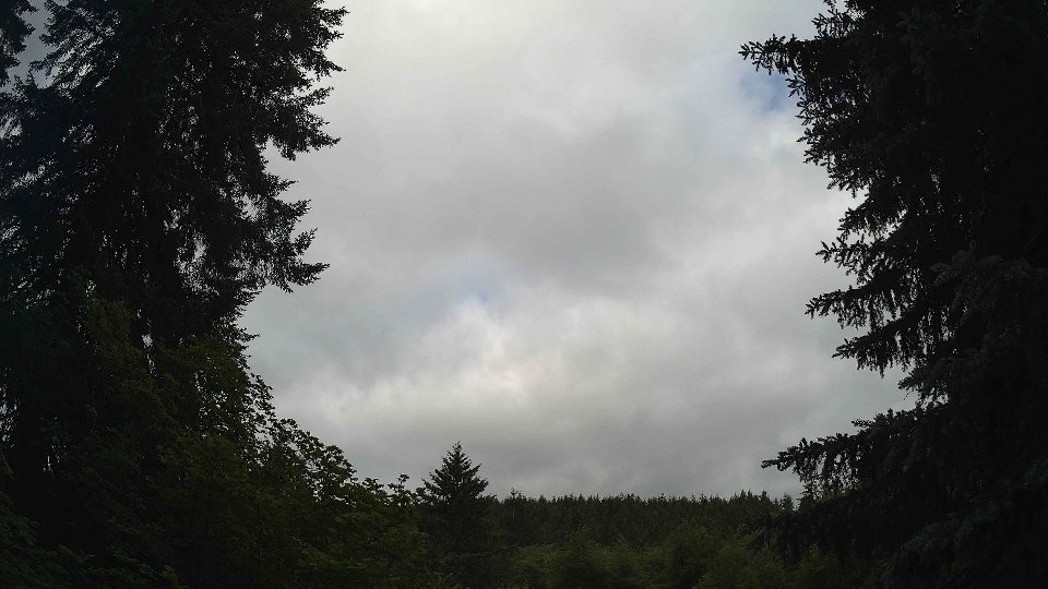 Pacific Northwest skyline timelapse frame from Jun 21st, 2026 at 8:30 AM