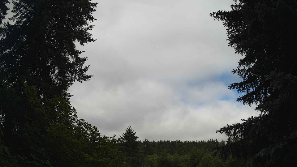 Pacific Northwest skyline timelapse frame from Jun 21st, 2026 at 8:45 AM