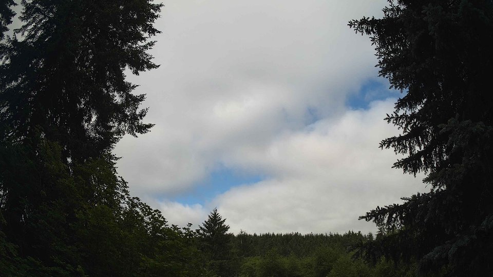 Pacific Northwest skyline timelapse frame from Jun 21st, 2026 at 9:00 AM