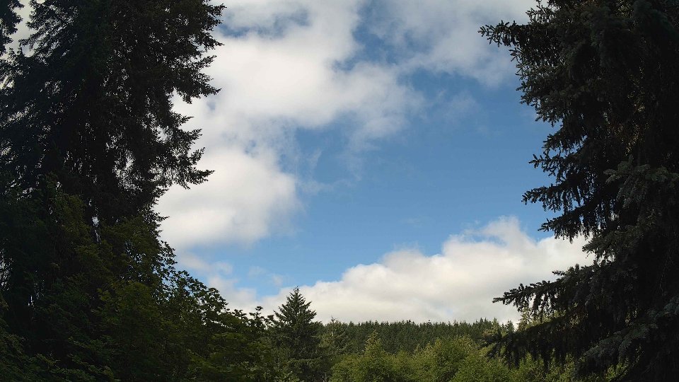 Pacific Northwest skyline timelapse frame from Jun 21st, 2026 at 9:30 AM