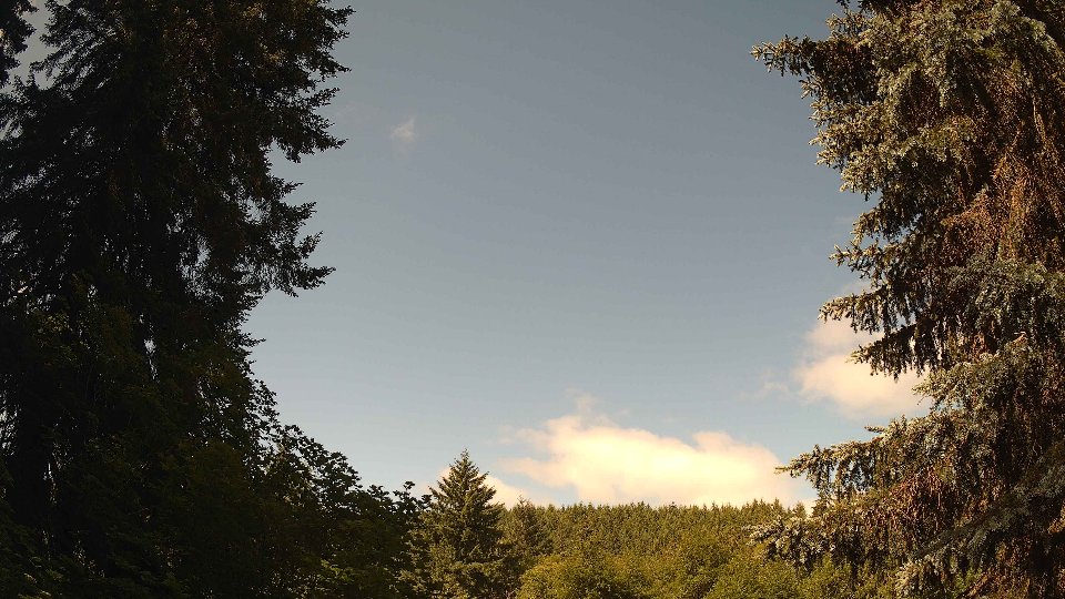 Pacific Northwest skyline timelapse frame from Jun 21st, 2026 at 10:00 AM