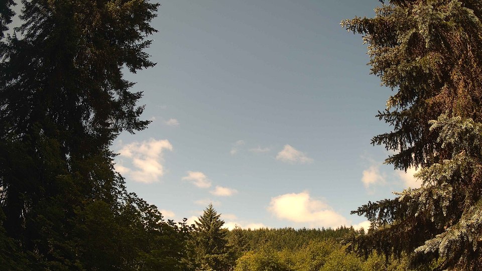 Pacific Northwest skyline timelapse frame from Jun 21st, 2026 at 10:15 AM