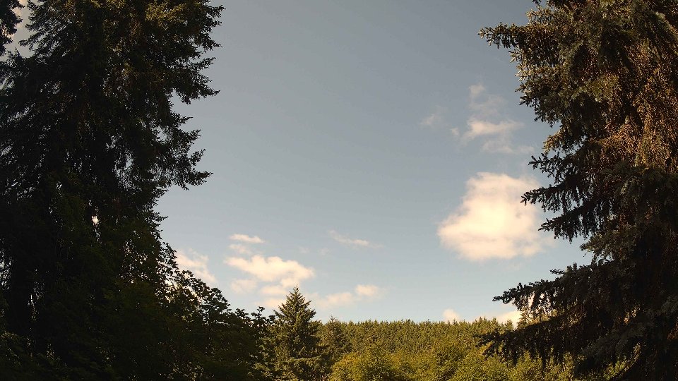 Pacific Northwest skyline timelapse frame from Jun 21st, 2026 at 10:30 AM