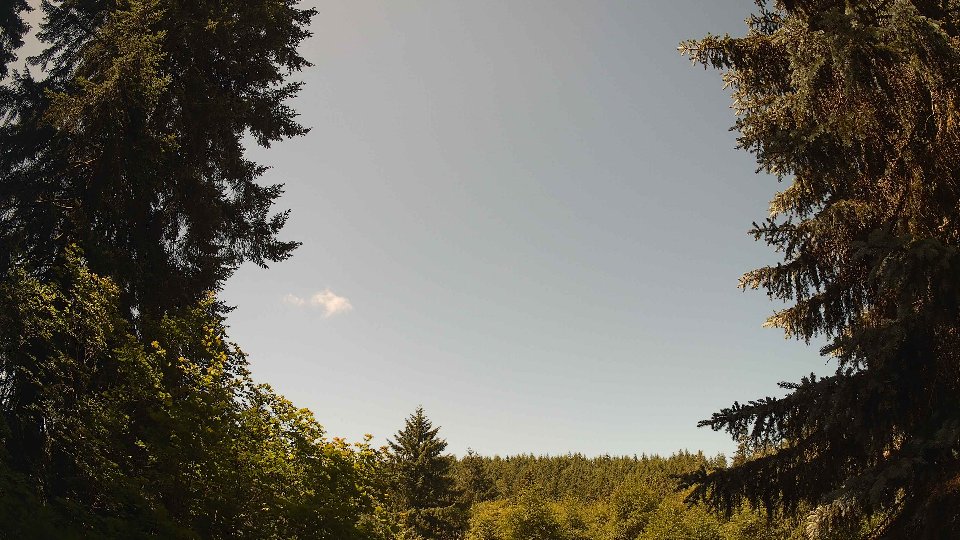 Pacific Northwest skyline timelapse frame from Jun 21st, 2026 at 11:30 AM