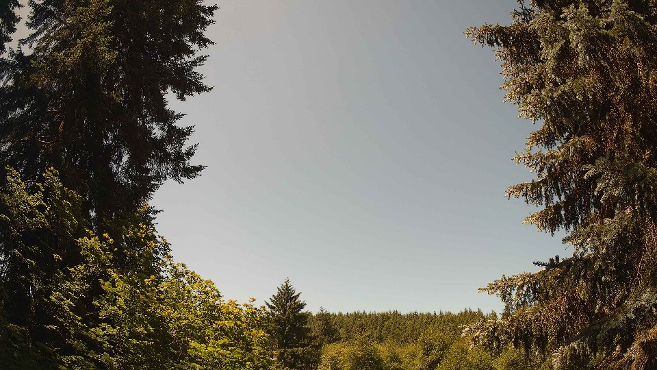Pacific Northwest skyline timelapse frame from Jun 21st, 2026 at 11:45 AM