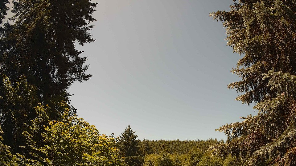 Pacific Northwest skyline timelapse frame from Jun 21st, 2026 at 12:00 PM
