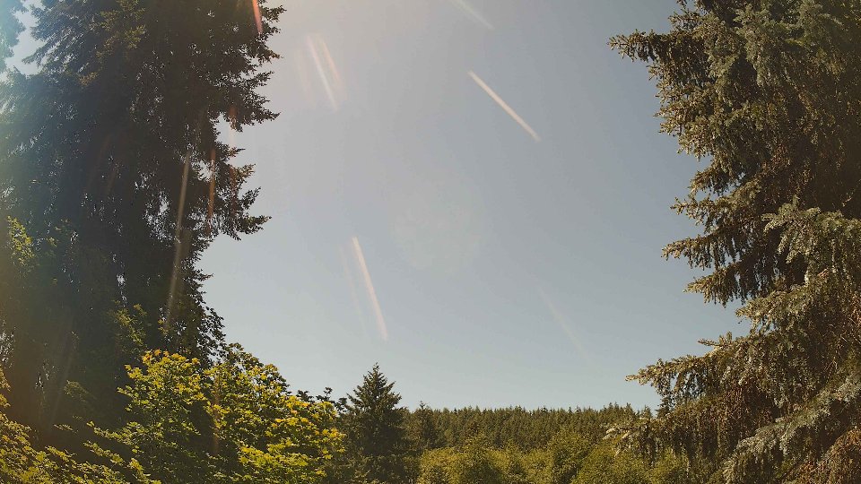 Pacific Northwest skyline timelapse frame from Jun 21st, 2026 at 12:30 PM