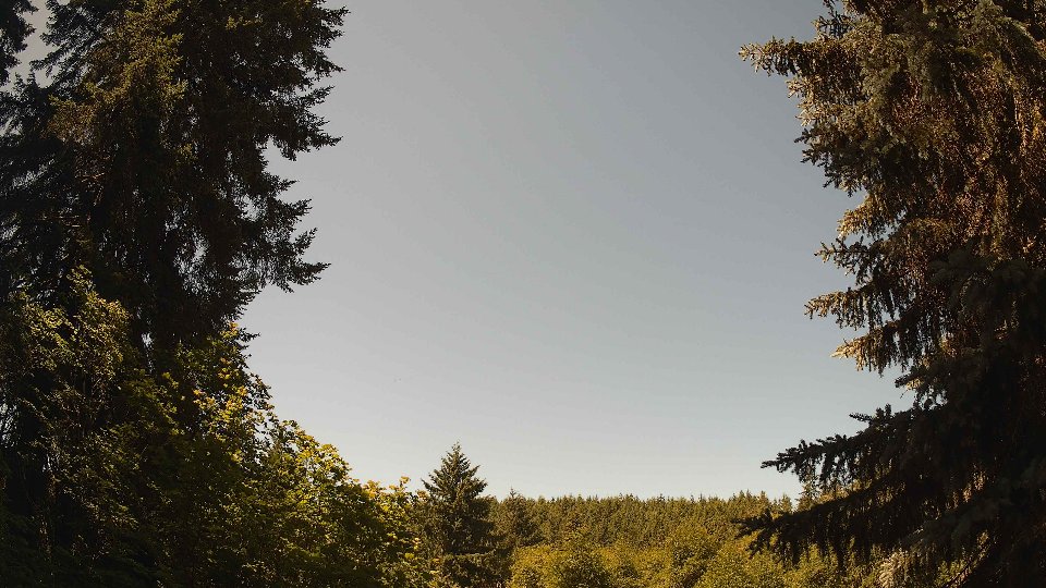 Pacific Northwest skyline timelapse frame from Jun 22nd, 2026 at 11:30 AM