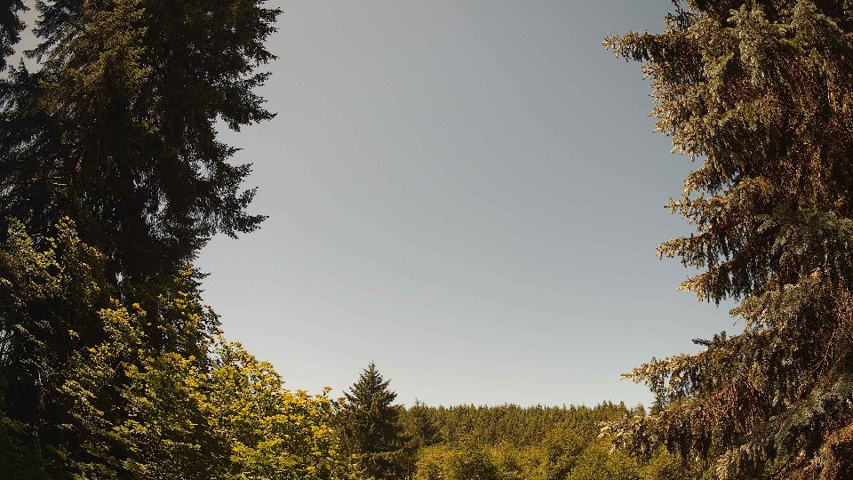 Pacific Northwest skyline timelapse frame from Jun 22nd, 2026 at 11:45 AM
