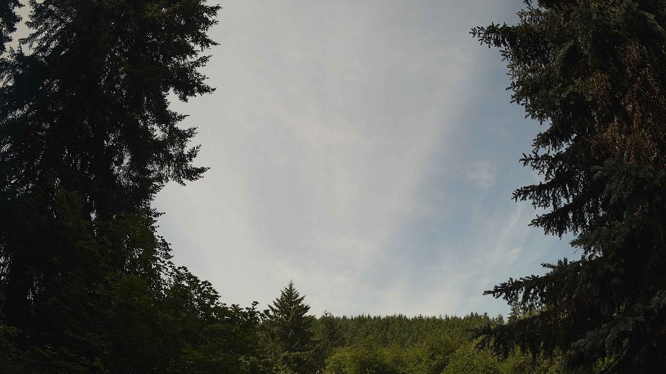 Pacific Northwest skyline timelapse frame from Jun 23rd, 2026 at 10:30 AM