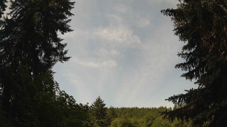 Pacific Northwest skyline timelapse frame from Jun 23rd, 2026 at 11:00 AM
