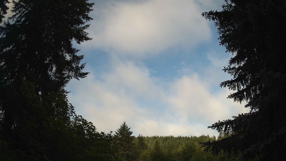 Pacific Northwest skyline timelapse frame from Jun 24th, 2026 at 7:30 AM