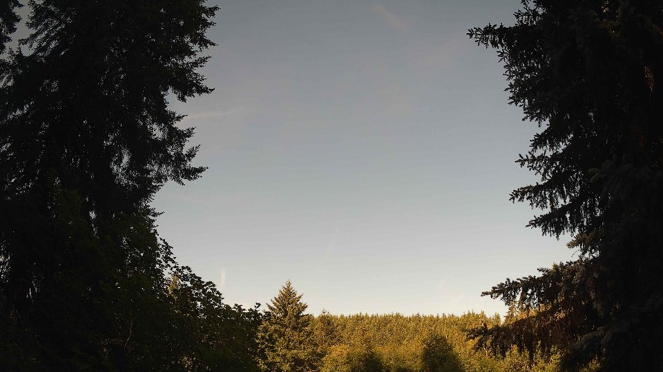 Pacific Northwest skyline timelapse frame from Jun 24th, 2026 at 8:00 AM