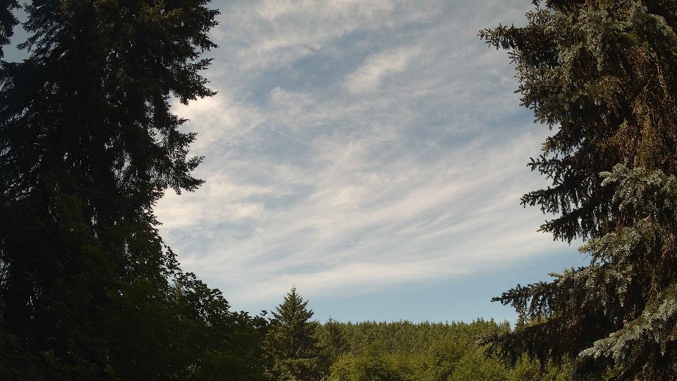 Pacific Northwest skyline timelapse frame from Jun 24th, 2026 at 10:15 AM