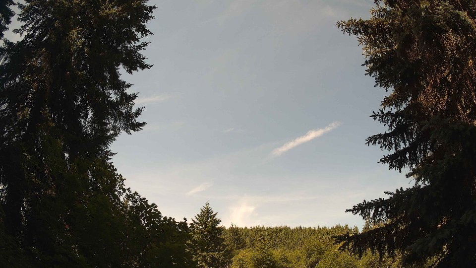 Pacific Northwest skyline timelapse frame from Jun 24th, 2026 at 11:00 AM