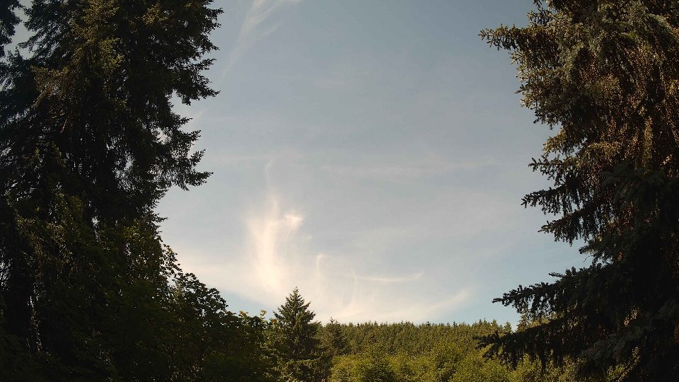 Pacific Northwest skyline timelapse frame from Jun 24th, 2026 at 11:15 AM