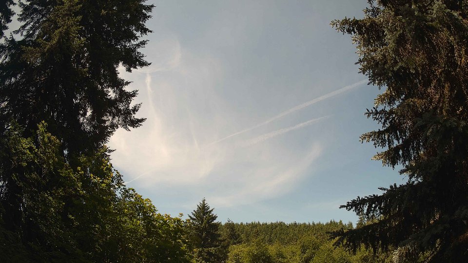 Pacific Northwest skyline timelapse frame from Jun 24th, 2026 at 11:30 AM