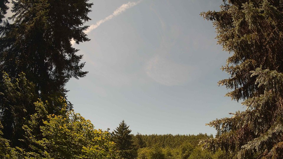 Pacific Northwest skyline timelapse frame from Jun 24th, 2026 at 12:00 PM