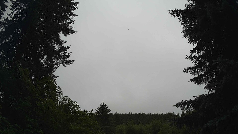 Pacific Northwest skyline timelapse frame from Jun 25th, 2026 at 8:30 AM