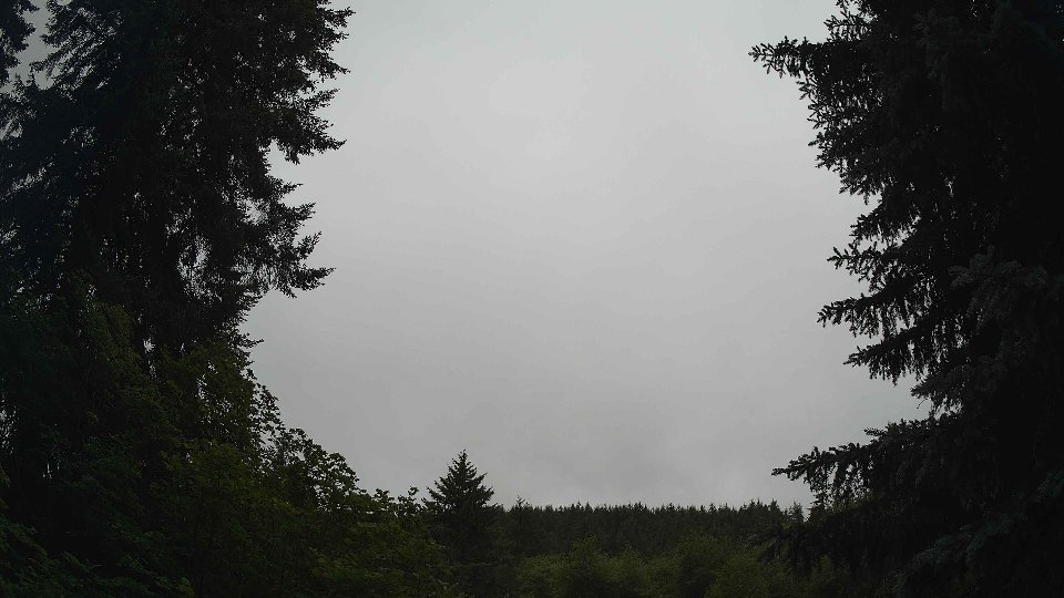 Pacific Northwest skyline timelapse frame from Jun 25th, 2026 at 9:00 AM