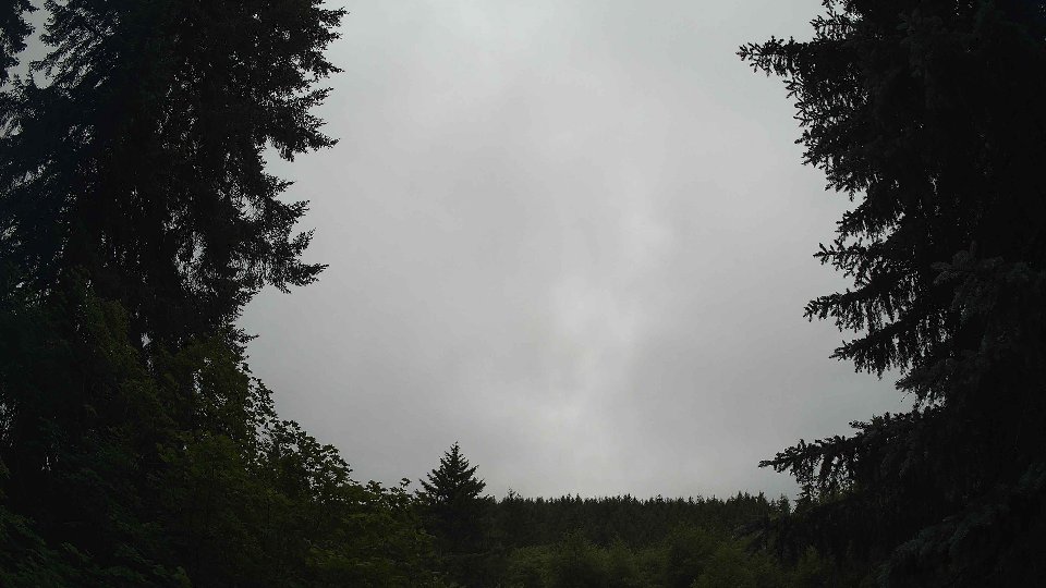 Pacific Northwest skyline timelapse frame from Jun 25th, 2026 at 10:30 AM