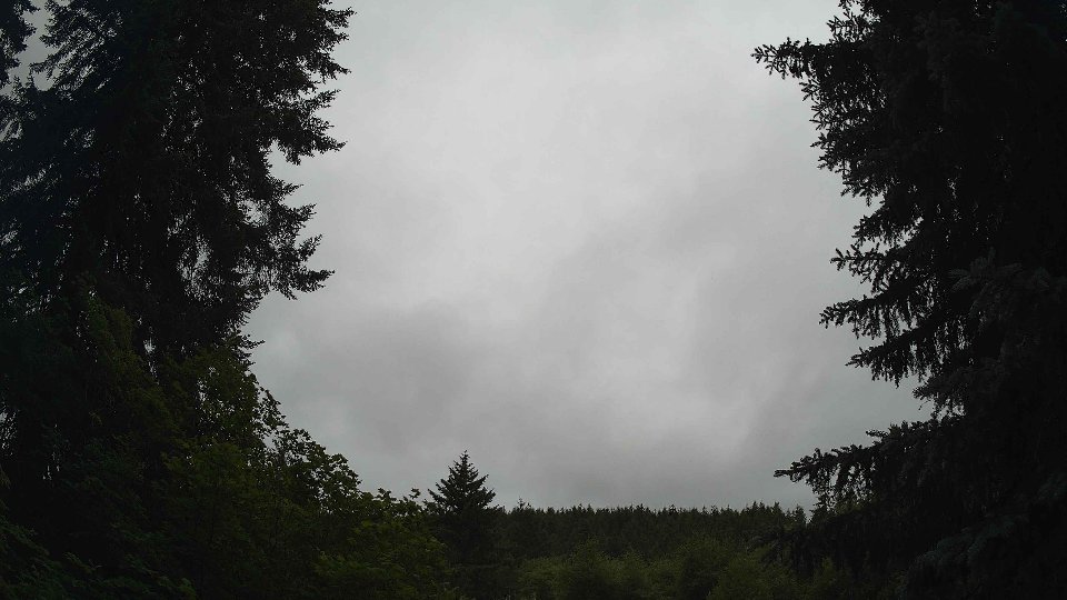 Pacific Northwest skyline timelapse frame from Jun 25th, 2026 at 12:00 PM