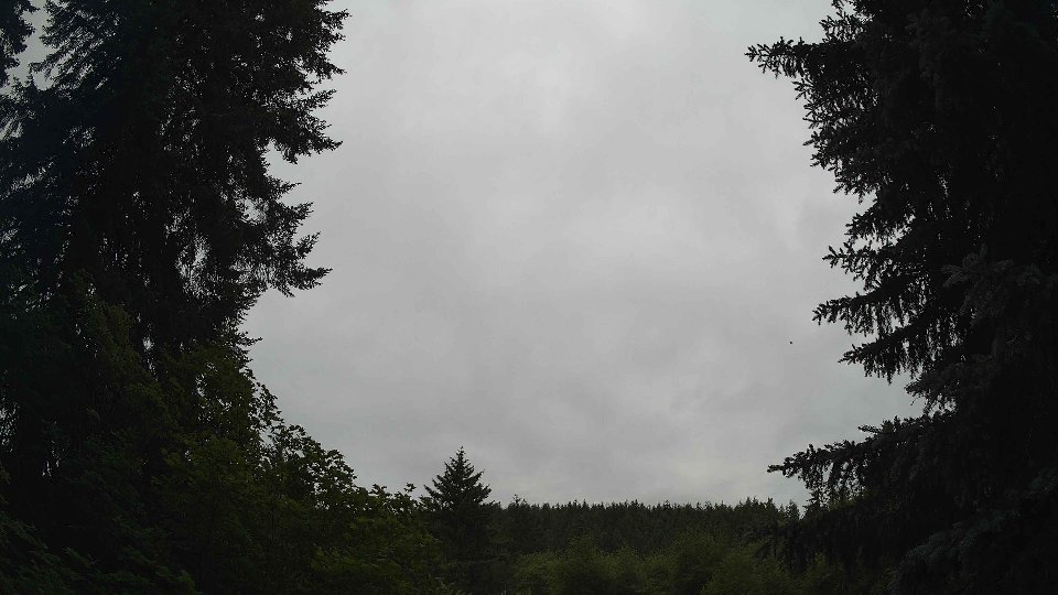 Pacific Northwest skyline timelapse frame from Jun 25th, 2026 at 12:30 PM