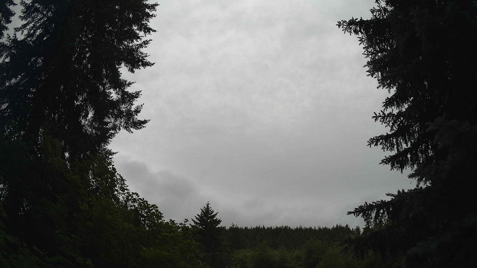 Pacific Northwest skyline timelapse frame from Jun 25th, 2026 at 3:30 PM