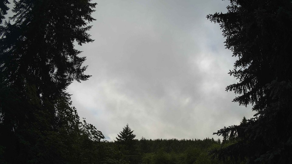 Pacific Northwest skyline timelapse frame from Jun 26th, 2026 at 8:30 AM
