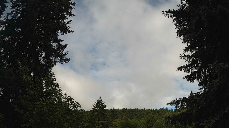 Pacific Northwest skyline timelapse frame from Jun 26th, 2026 at 8:45 AM