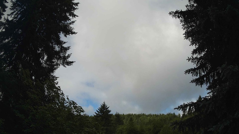 Pacific Northwest skyline timelapse frame from Jun 26th, 2026 at 9:00 AM
