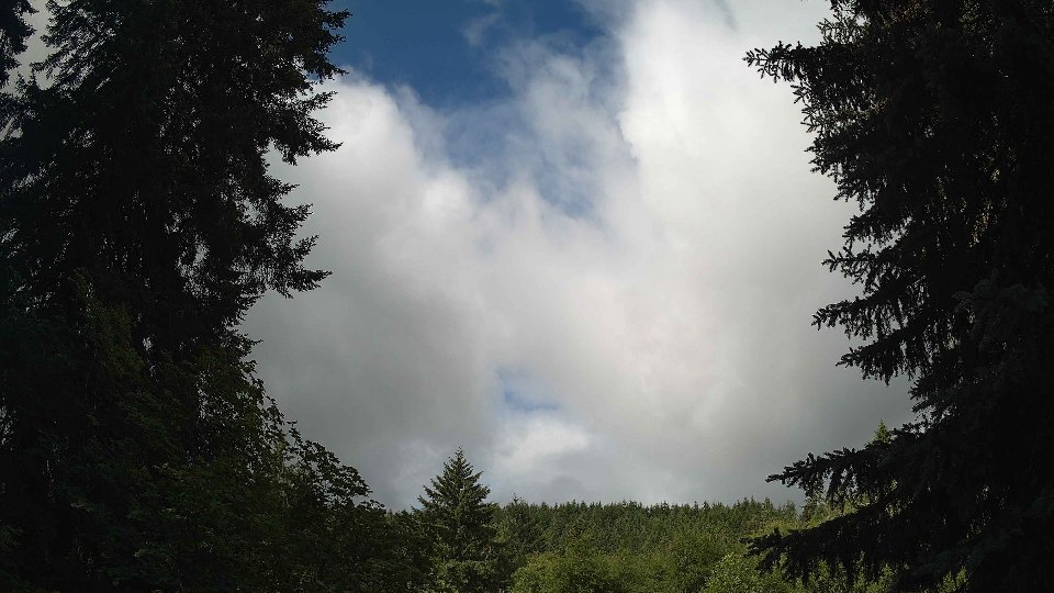 Pacific Northwest skyline timelapse frame from Jun 26th, 2026 at 9:30 AM